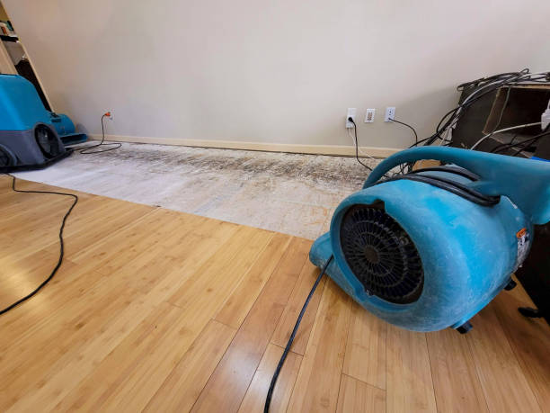 Professional Structural Drying technician working in Chillicothe, IL